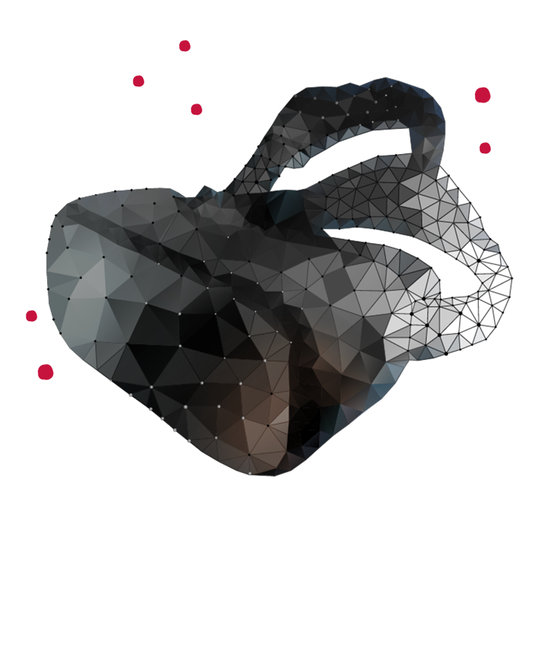 Grande Idea Agencja marketingowa Filmy VR